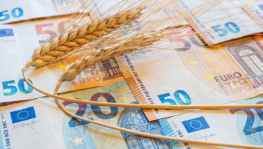 euro tarwe - agri