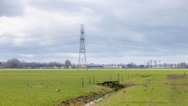 Elektriciteitsmasten op grasland in een open landschap.