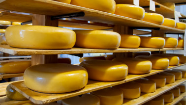 Kazen rijpen op traditionele houten planken