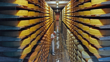 entrepôt de fromages