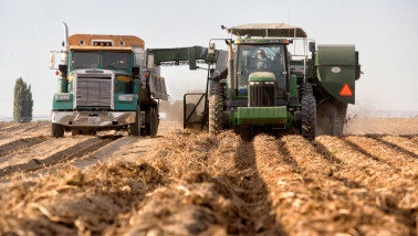 Oogst van aardappelen, akkerbouw