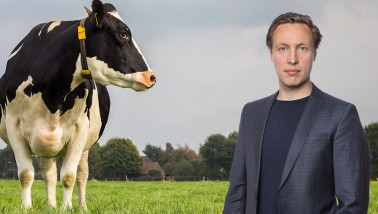 Trendrapport december