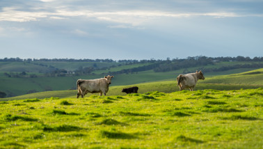 belgie Ardennen
