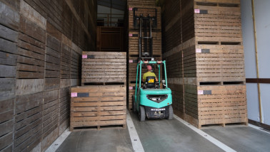 kisten pootaardappel Kistenbewaring Vorkheftruck