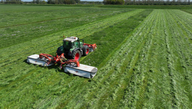Grasoogst op het land, waarbij gras wordt gemaaid voor ruwvoer.