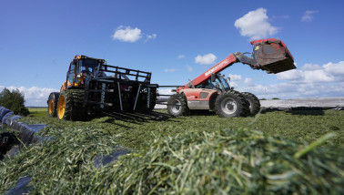 Grasoogst op het land, waarbij gras wordt gemaaid voor ruwvoer.