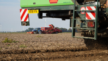Oogst van aardappelen, akkerbouw