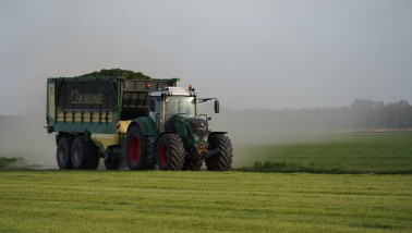 Grasoogst op het land, waarbij gras wordt gemaaid voor ruwvoer.