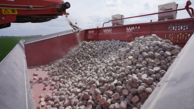 Aardappelen poten op het land met landbouwmachines.