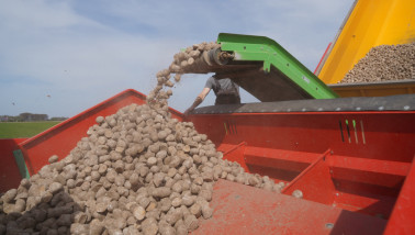Aardappelen poten op het land met landbouwmachines.