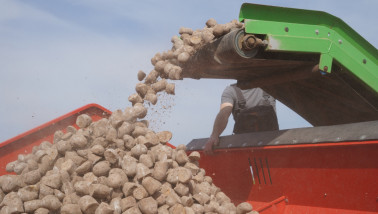 Aardappelen poten op het land met landbouwmachines.