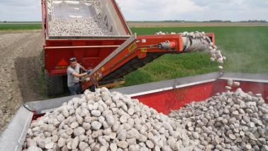 pootgoed aardappelen poten