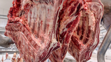 Runderkarkassen hangen in een slachthuis klaar voor verwerking