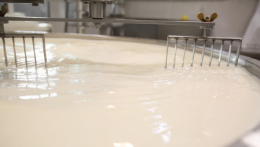 laiterie production de fromage transformation laitière