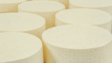 Kaasproductie in een zuivelfabriek