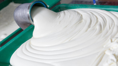 Productie van mozzarella kaas in een zuivelfabriek