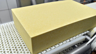 Industriële kaasproductie in een zuivelfabriek