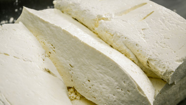 Industriële kaasproductie in een zuivelfabriek