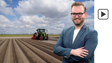 lente aardappelen poten