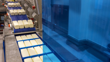 Mozzarella cheese production in a dairy factory