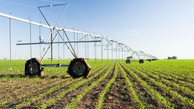 Een centerpivot-beregeningssysteem in een maïsveld.