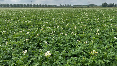 Aardappelen, Boerenbusiness Gewastour 2023