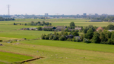 Nederlandse polder in de zomer met groene weide.