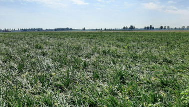 Uien, Boerenbusiness Gewastour 2023