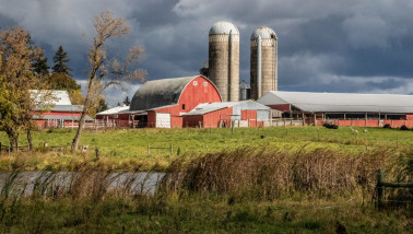 Melkveehouderij in de Verenigde Staten