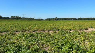 Boerenbusiness Gewastour 2023