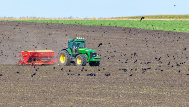 Zaaien van tarwe op het akkerland met een tractor en zaaimachine.