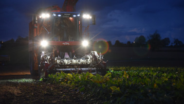 Suikerbietenoogst in het donker
