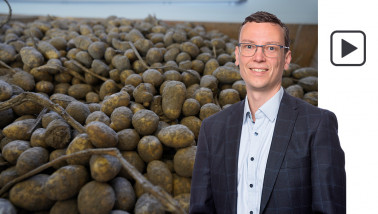 aardappelen aardappelbewaring