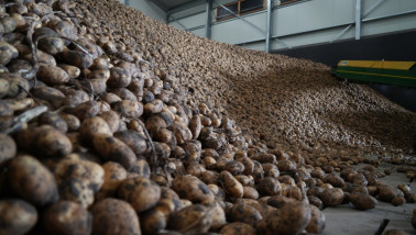 Aardappelbewaring, akkerbouwbedrijf