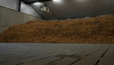 Uien in bewaring op een akkerbouwbedrijf