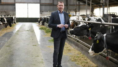 Marijn Dekkers, sectormanager melkveehouderij bij Rabobank