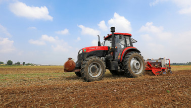 Maïs planten op een boerderij in Luannan County, provincie Hebei, China