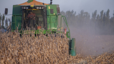 Combine oogst mais, Santa Fe, Argentina