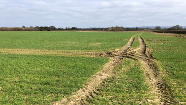 Tractorsporen op een nat veld met een graangewas