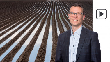 aardappelen verzopen