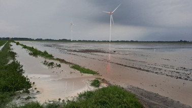 Ondergelopen akker met suikerbieten als gevolg van extreme neerslag.