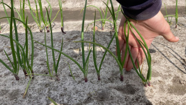 Boerenbusiness Gewastour 2024