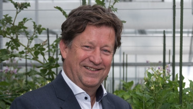 Hans Huistra - CEO Royal HZPC