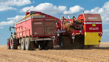 Oogst van aardappelen, akkerbouw