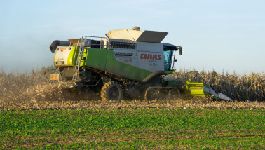 Groene maaidorser aan het werk in een veld in Grünstadt, Duitsland, maïsoogst