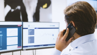 Werknemer van DCA Market Intelligence achter een computer, analyse van agrarische marktdata