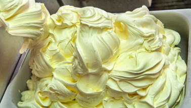 Productie van softijs, bereiding van zuivelproducten