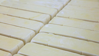 Industriële kaasproductie in een zuivelfabriek