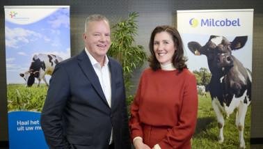 FrieslandCampina en Milcobel kondigen intentie tot fusie aan, nieuws uit de zuivelindustrie