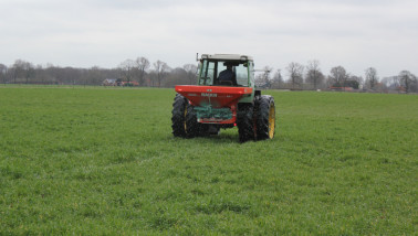 Kunstmest strooien over een akker, bemesting voor gewasgroei